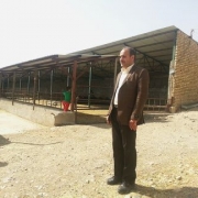 شرکت «آناهیتا» نهاوند، تعاونی نمونه ملی در جشنواره تعاونی‌های کشور